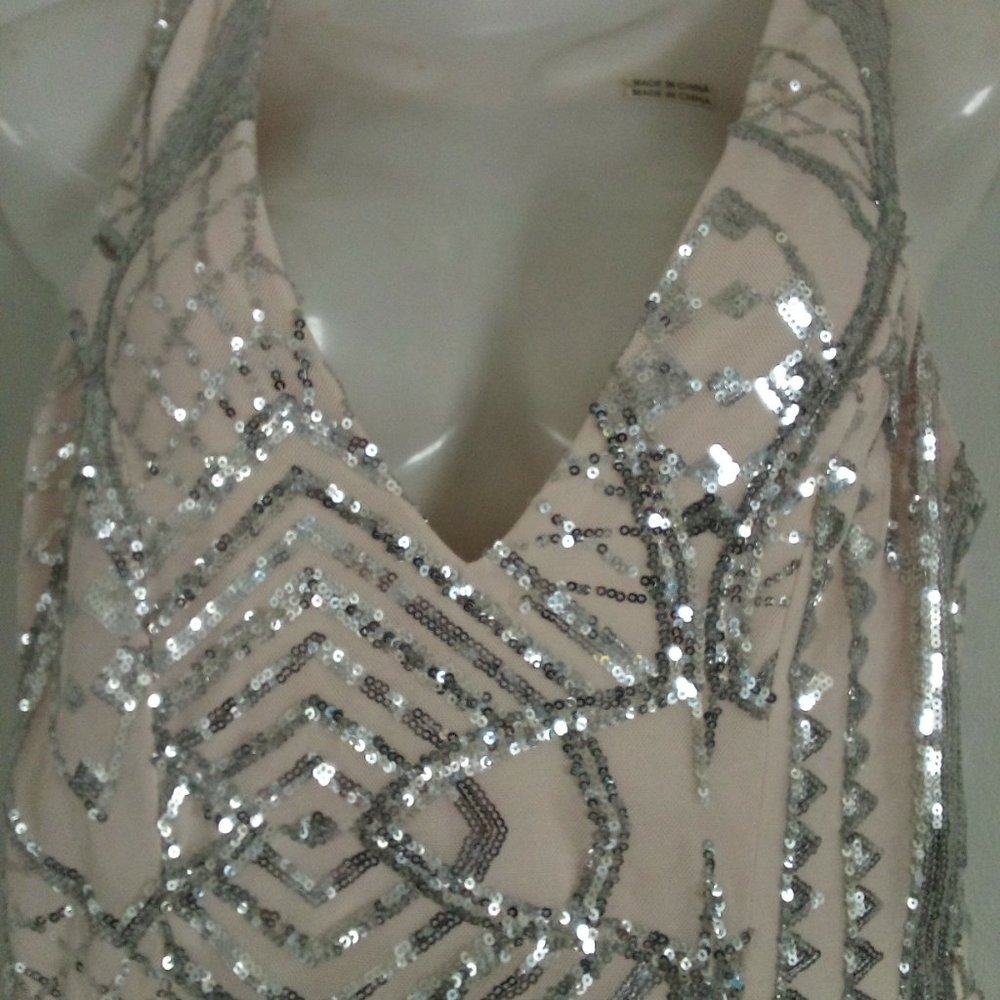 Windosr Pale Pink and Silver Embellished Maxi
